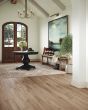 Adura Rigid Plank Preservation Artifact Luxury Vinyl