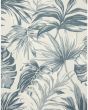 Aloha ALH43 Ivory Blue 2'8"x4' Area Rug