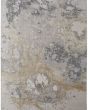 Astra 39L3F Gray/Gold/Ivory Area Rug