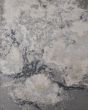 Astra 39L3F Gray/Ivory Area Rug