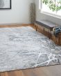 Astra 39L5F Gray/Silver/Ivory Area Rug