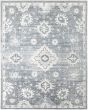 Astra Machine Washable ASW19 Denim 3'3"x5' Area Rug