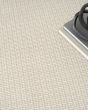 Atlantic Avenue AAV01 Beige Area Rug