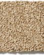 Bali Nylon Textured 48oz Carpet