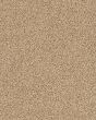 Bali Nylon Textured 48oz Carpet