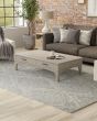 Belfort 8A29F Ivory/Gray Area Rug