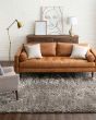 Billow Shag Taupe Area Rug