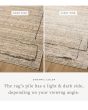 Bleecker BLE-05 Natural/Charcoal Area Rug