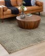 Drew & Jonathan Bowen Lost City Neutral Rug