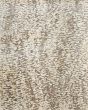 Braden 8A52F Tan/Taupe 10'x14' Area Rug