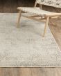 Branigan Brg06 Beige/Gold Area Rug