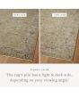 Briar BRR-02 Olive/Stone Area Rug