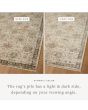 Briar BRR-04 Ivory/Multi Area Rug