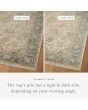Briar BRR-05 Ant. Ivory/Blue Area Rug