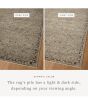 Briar BRR-06 Mist/Granite Area Rug