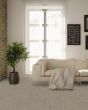 Burbank Taupe 100% Wool Textured 83oz Carpet