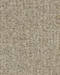 Burbank Prairie 100% Wool Textured 83oz Carpet