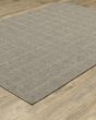 Caicos CA04B Grey Area Rug