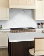 Calacatta Izaro Quartz Countertop