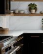 Calacatta Izaro Quartz Countertop