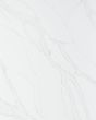 Calacatta Izaro Quartz Countertop