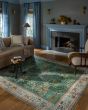 Canopy CNP-02 Sage/Blush Area Rug