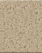Canvas Comfort Textured Nylon 43oz Carpet