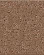 Canvas Comfort Blue Textured 43oz Nylon Carpet