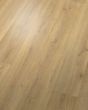 RevWood Premier Palm City Lighthouse Oak 8" Laminate