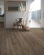 RevWood Premier Palm City Balboa Oak 8" Laminate