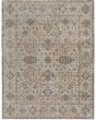 Celene 39L0F Ivory/Tan/Gray Area Rug