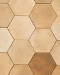 Celine Cotto Matte Glazed Porcelain 4.5"x4" Hexagon Field Tile