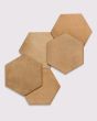 Celine Cotto Matte Glazed Porcelain 4.5"x4" Hexagon Field Tile