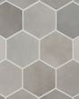Celine Greige Matte Glazed Porcelain 4.5"x4" Hexagon Field Tile