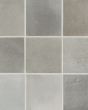 Celine Greige Matte Glazed Porcelain 4"x4" Square Field Tile