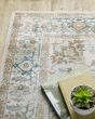 Charleston cha10 Ivory/Multi Area Rug