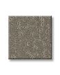 Charming Concept 34oz Patterned Pet Friendly Carpet
