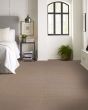 Chic Elevation Beige Bisque Carpet