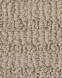 Chic Elevation Beige Bisque Carpet