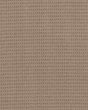 Chic Elevation Beige Bisque Carpet