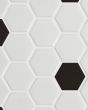 Circuit White w/black 2x2 Hexagon Matte Tile