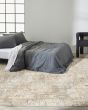 Ck005 Enchanting ECH06 Ivory/Grey Area Rug