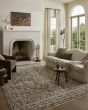 Clarisse CLS-05 Olive/Multi Area Rug