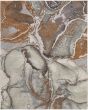 Clio 39K5F Gray/Brown Area Rug