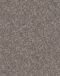 Confidence II Alaskan Air Textured Carpet