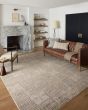 Darby DAR-05 Beige/Grey Area Rug