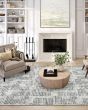 Delano DA1 Pewter Area Rug