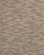 Delicate Tradition Kashmere Nylon 45oz Carpet
