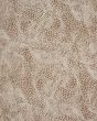 Desire DSR08 Camel Silver Area Rug