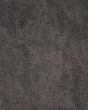 Desire DSR08 Charcoal Silver Area Rug